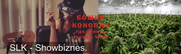 винт Гусь-Хрустальный