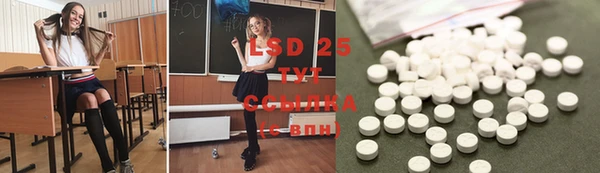 винт Гусь-Хрустальный