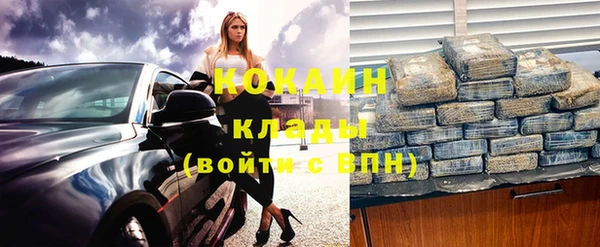 винт Гусь-Хрустальный