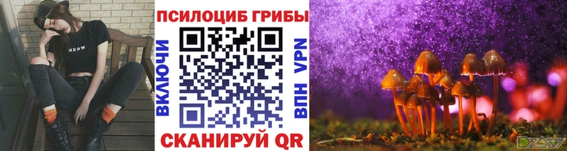 Галлюциногенные грибы Psilocybine cubensis  Купить закладки  Томари 